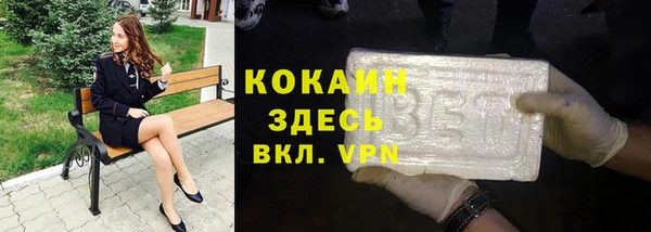 ПСИЛОЦИБИНОВЫЕ ГРИБЫ Новозыбков