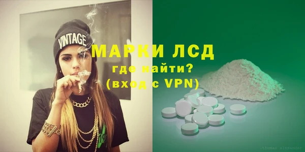 ПСИЛОЦИБИНОВЫЕ ГРИБЫ Новозыбков