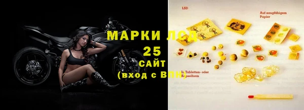 ПСИЛОЦИБИНОВЫЕ ГРИБЫ Новозыбков