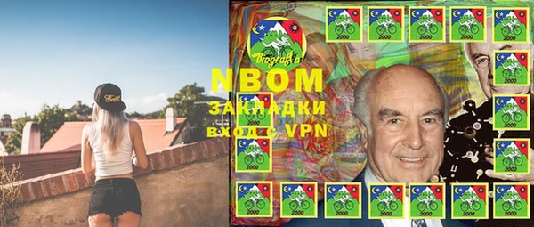 ПСИЛОЦИБИНОВЫЕ ГРИБЫ Новозыбков