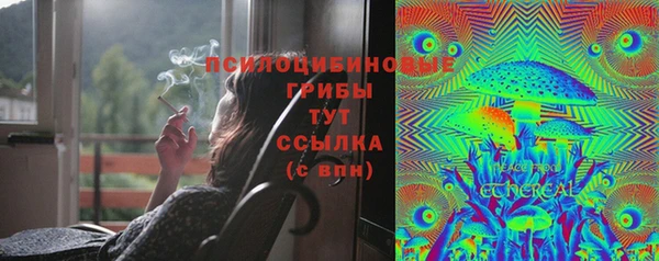 MESCALINE Новодвинск