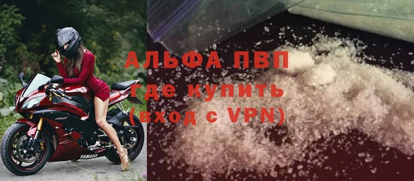 ПСИЛОЦИБИНОВЫЕ ГРИБЫ Новозыбков