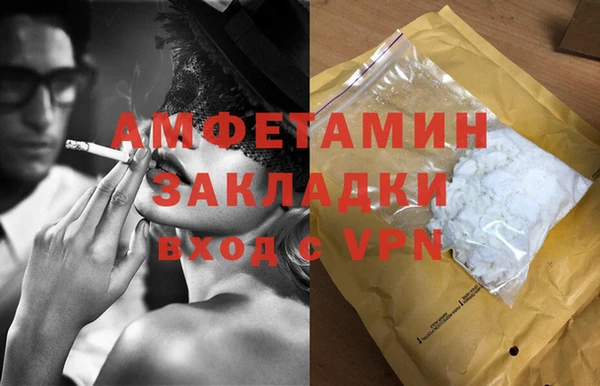 ПСИЛОЦИБИНОВЫЕ ГРИБЫ Новозыбков
