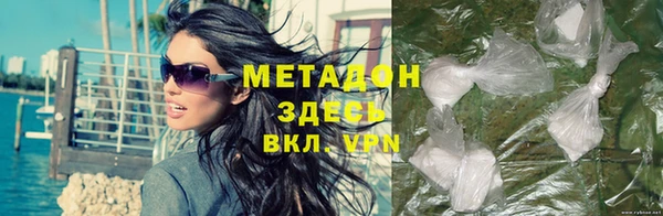 ПСИЛОЦИБИНОВЫЕ ГРИБЫ Новозыбков