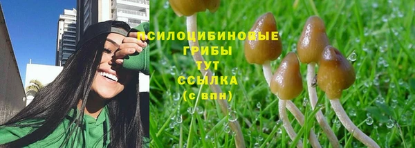 MESCALINE Новодвинск