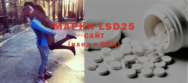 ПСИЛОЦИБИНОВЫЕ ГРИБЫ Новозыбков