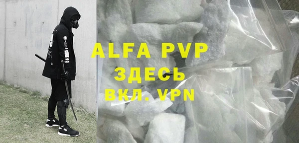 ПСИЛОЦИБИНОВЫЕ ГРИБЫ Новозыбков