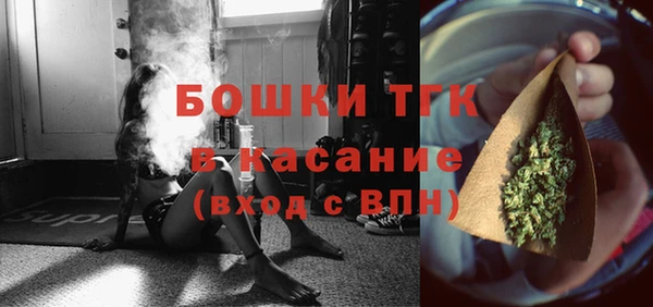 ПСИЛОЦИБИНОВЫЕ ГРИБЫ Новозыбков