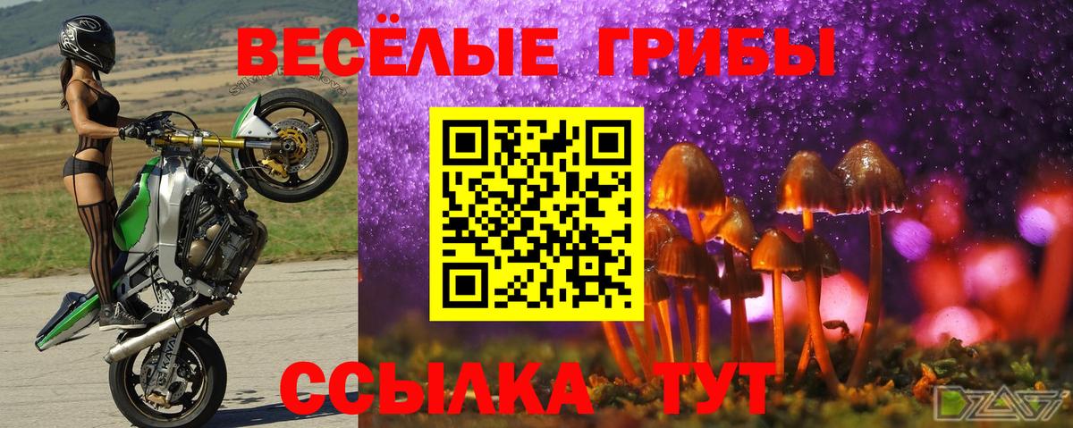 Псилоцибиновые грибы Psilocybe Нефтеюганск
