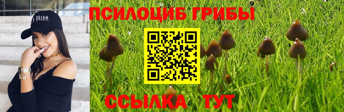 Псилоцибиновые грибы GOLDEN TEACHER  Вход с VPN  Нефтеюганск 